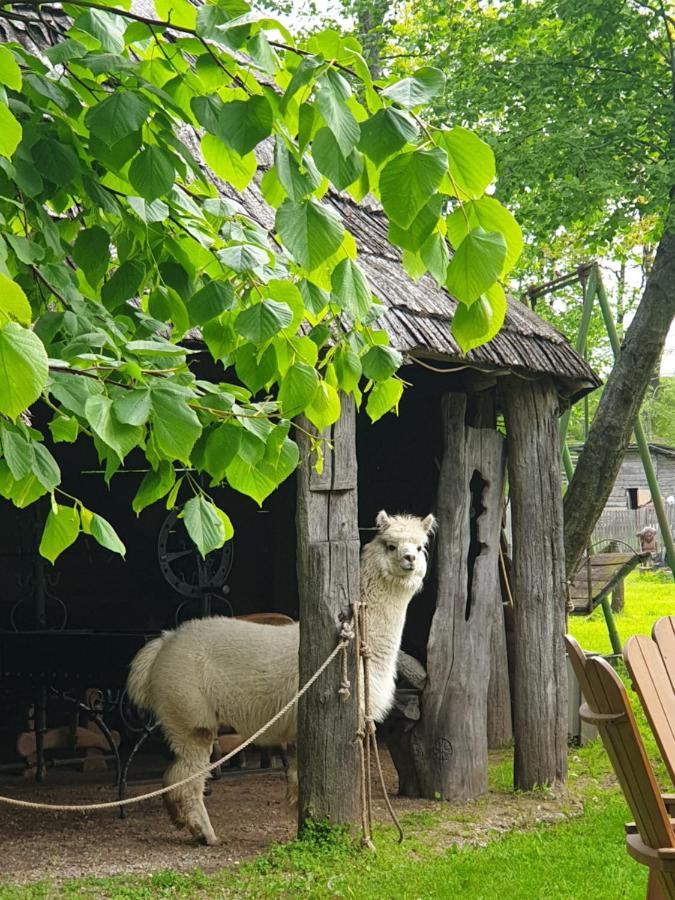 Vienkiemis Country house